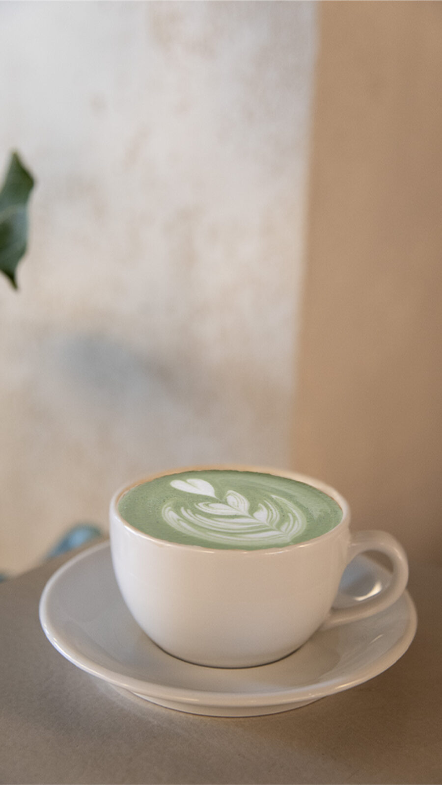 MATCHA LATTE